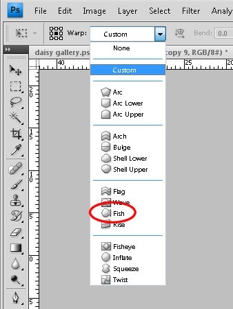 Creation of Daisy Gallery: Step 4